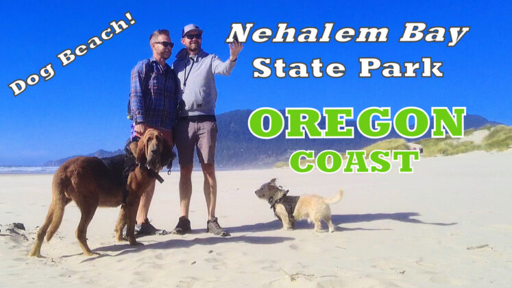 Oregon Coast Dog Beach | Nehalem Bay State Park | Manzanita