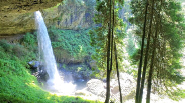 Silver Falls State Park | Trail of Ten Waterfalls | Oregon Camping