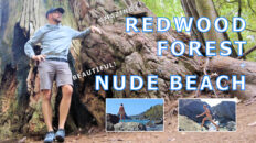 This NUDE BEACH is Stunningly Beautiful + Amazing REDWOOD FOREST